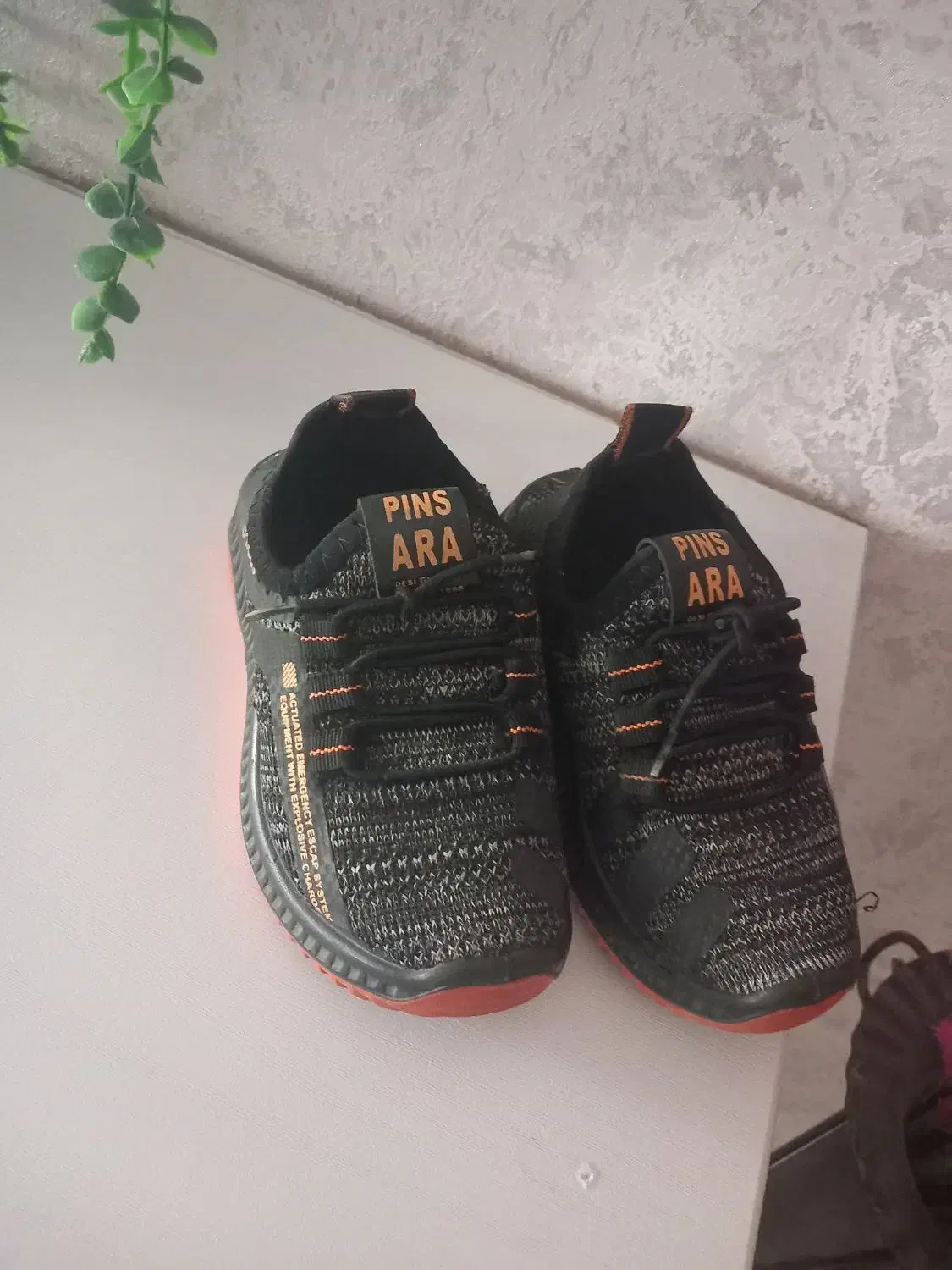 کفش|کیف، کفش، کمربند|زاهدان, |دیوار