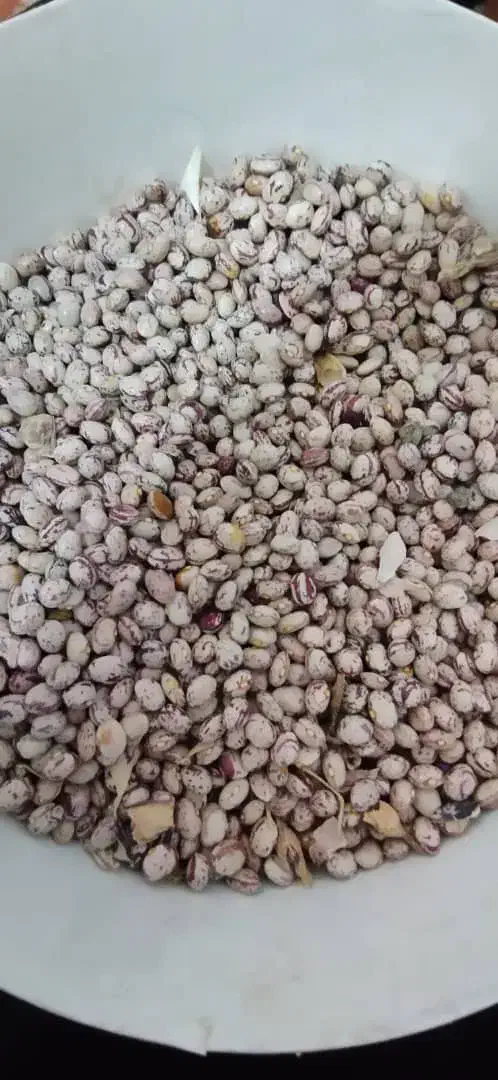 لوبیا|عمدهفروشی|خمین, |دیوار