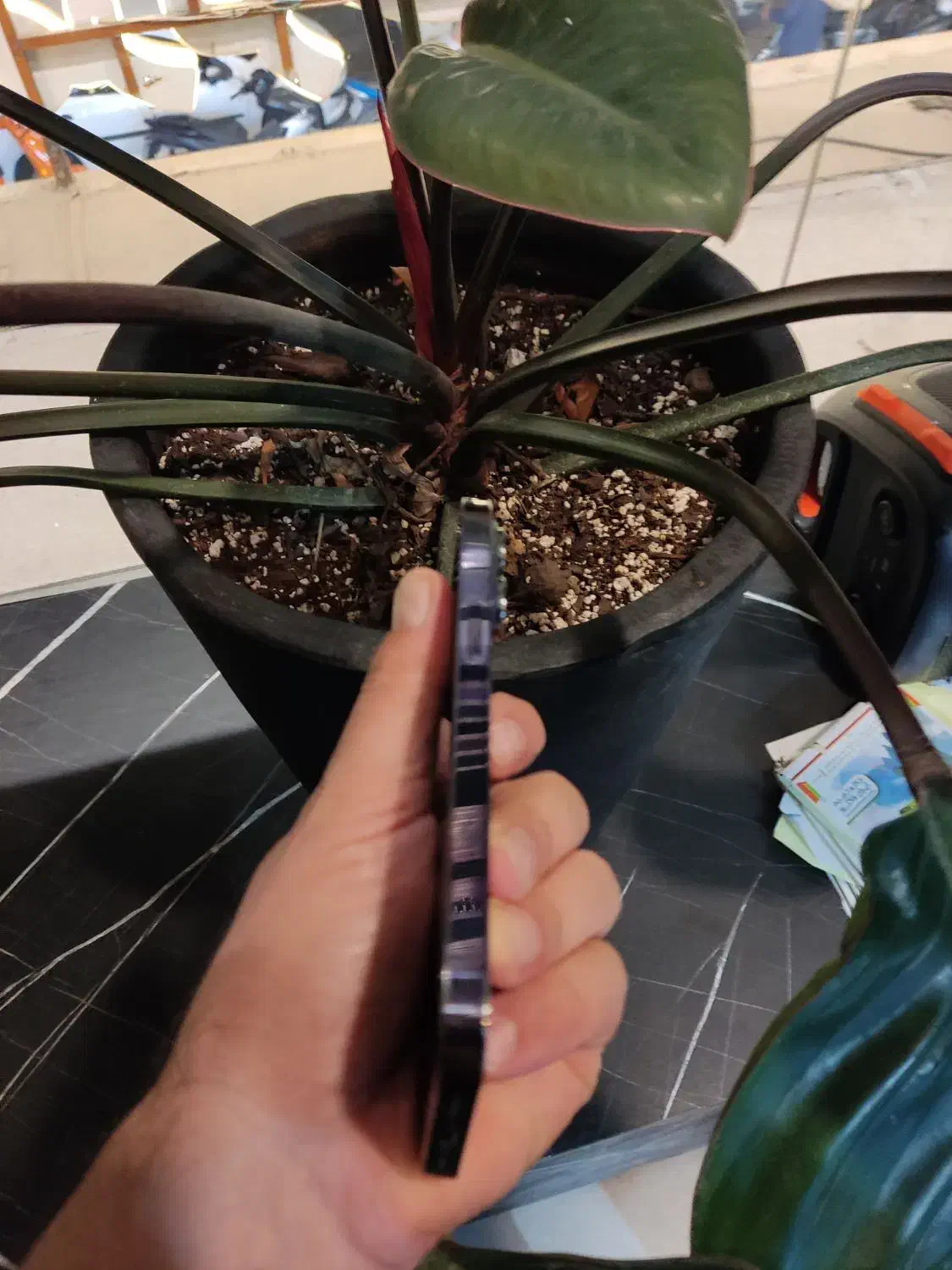 فروش آیفون 14 پرو 256 گیگ CH دو سیم|موبایل|مشهد, بهشت|دیوار