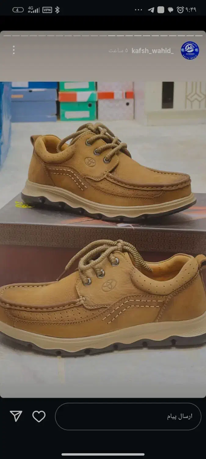 کفش تویتا ژاپنی|کیف، کفش، کمربند|زابل, |دیوار