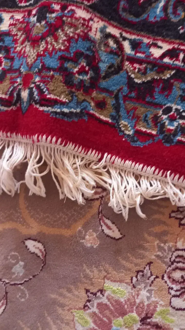 فرش|فرش|تایباد, |دیوار