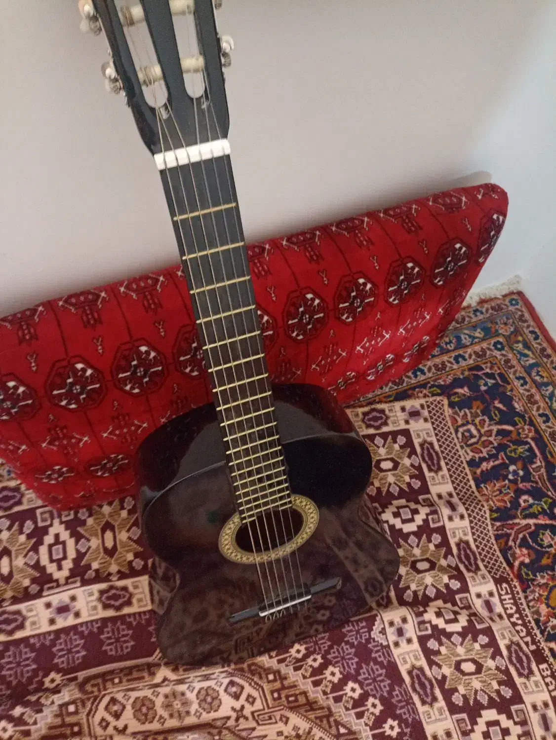 گیتار|گیتار، بیس، امپلیفایر|مراغه, |دیوار