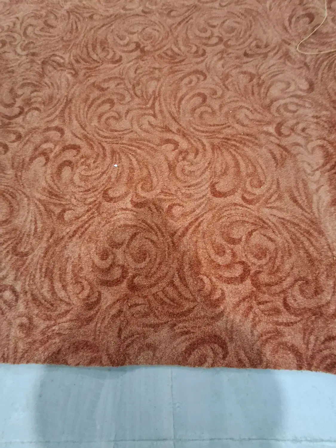 موکت پرزبلند پالاز|موکت|خرمآباد, |دیوار