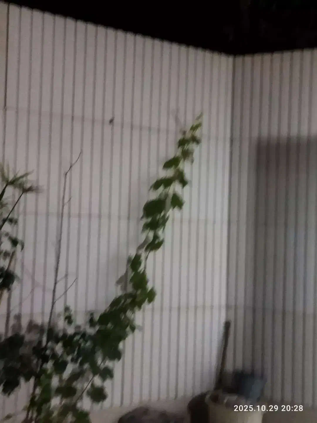 سنگ مصنوعی کیتکا|مصالح و تجهیزات ساختمان|نجف‌آباد, حومه نجف آباد|دیوار