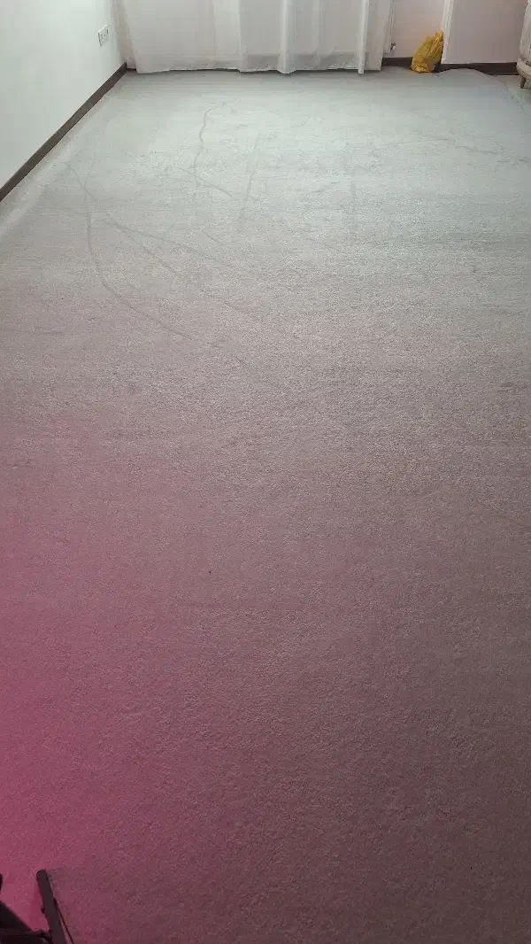 موکت طوسی|موکت|قم, پردیسان|دیوار