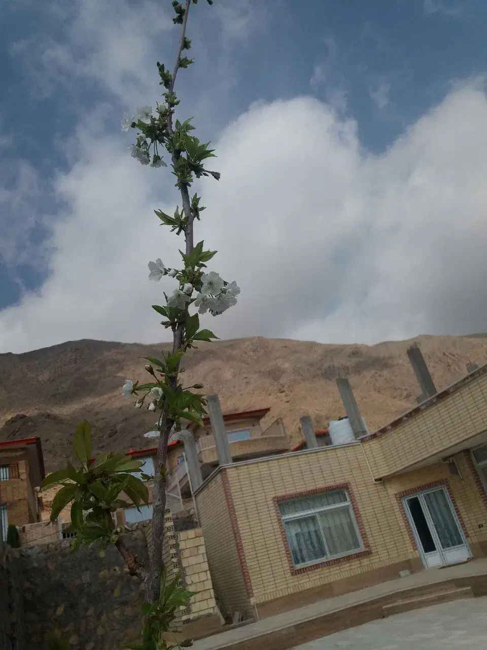 ویلای اجاره ای اسفرجان|اجارهٔ کوتاهمدت ویلا و باغ|شهرضا, |دیوار