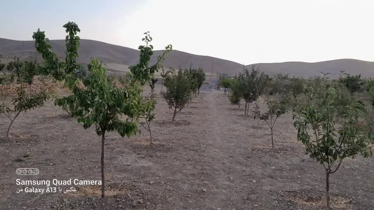 فروش باغ به مساحت ۱۰۰۰متردرحاجی اباد|فروش زمین و ملک کلنگی|همدان, |دیوار