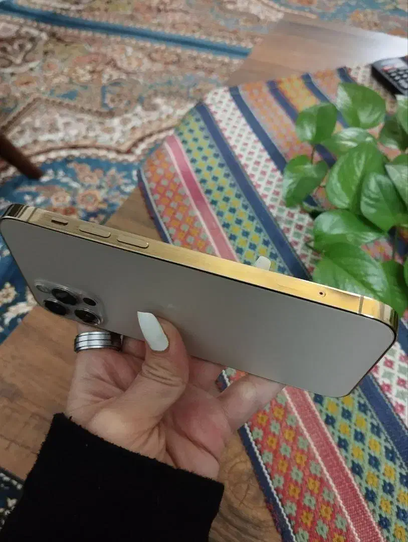 آیفون 12pro 256گیگ|موبایل|مشهد, گلشور|دیوار
