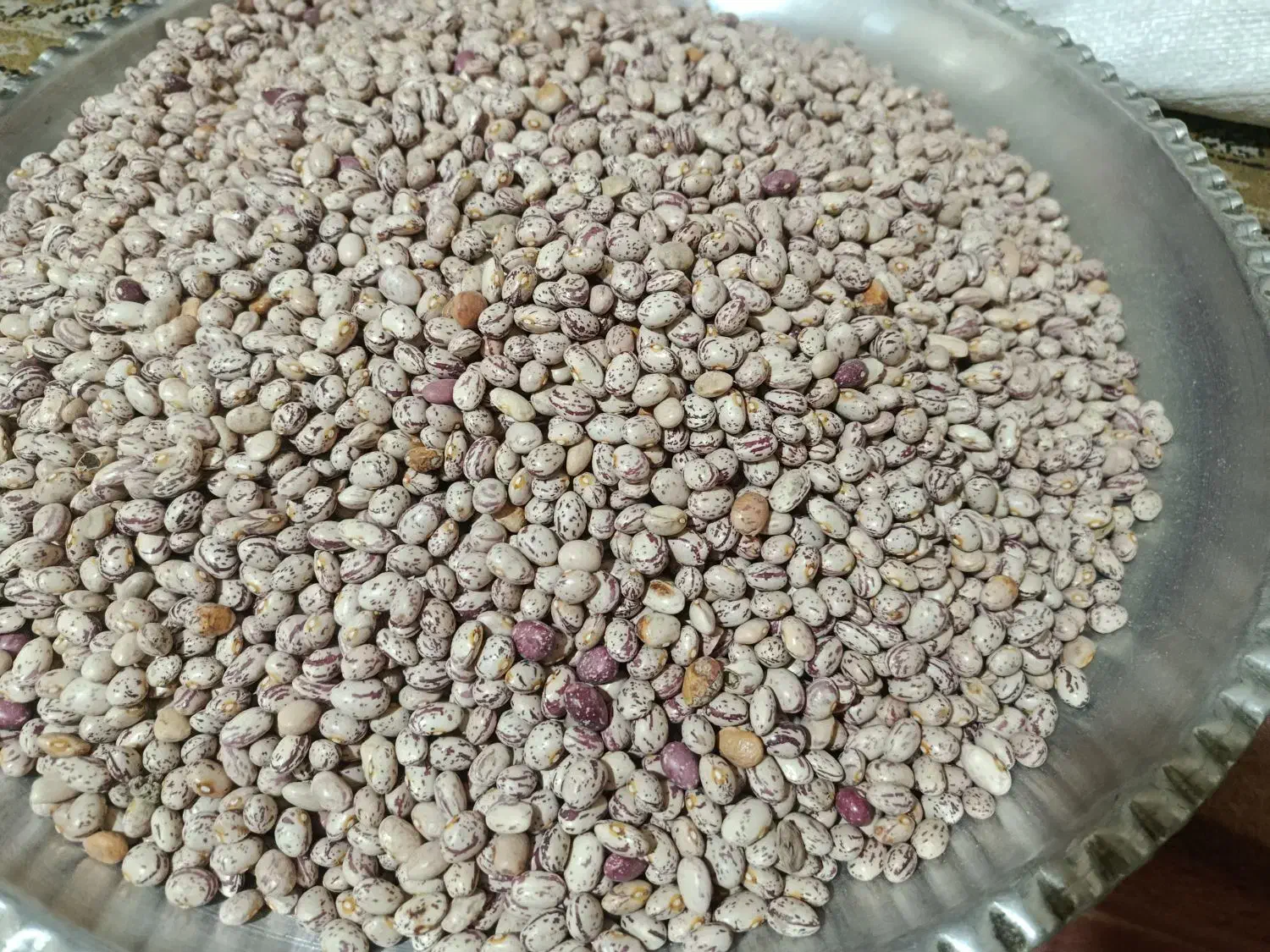 لوبیا چیتی درجه یک|خوردنی و آشامیدنی|قره چای, |دیوار