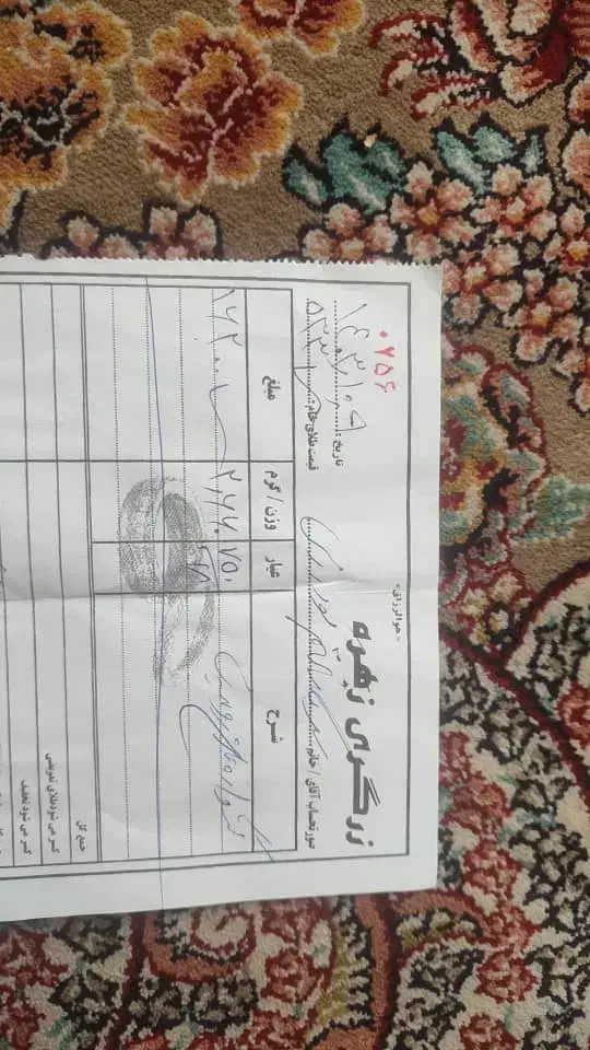 یک جفت گوشواره طلا|جواهرات|بروجرد, |دیوار