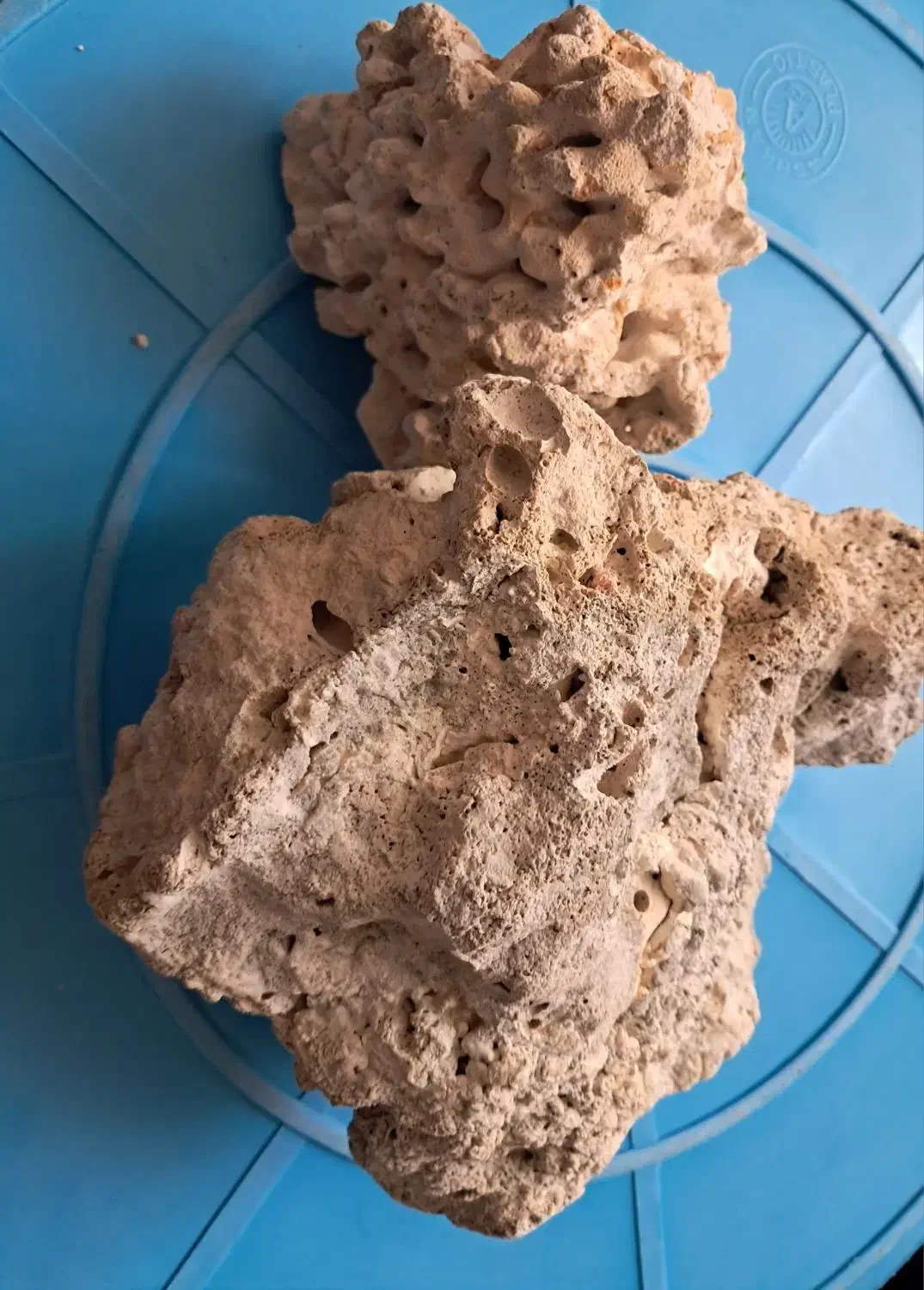 لوازم آکواریوم|ماهی|تهران, جوادیه تهرانپارس|دیوار