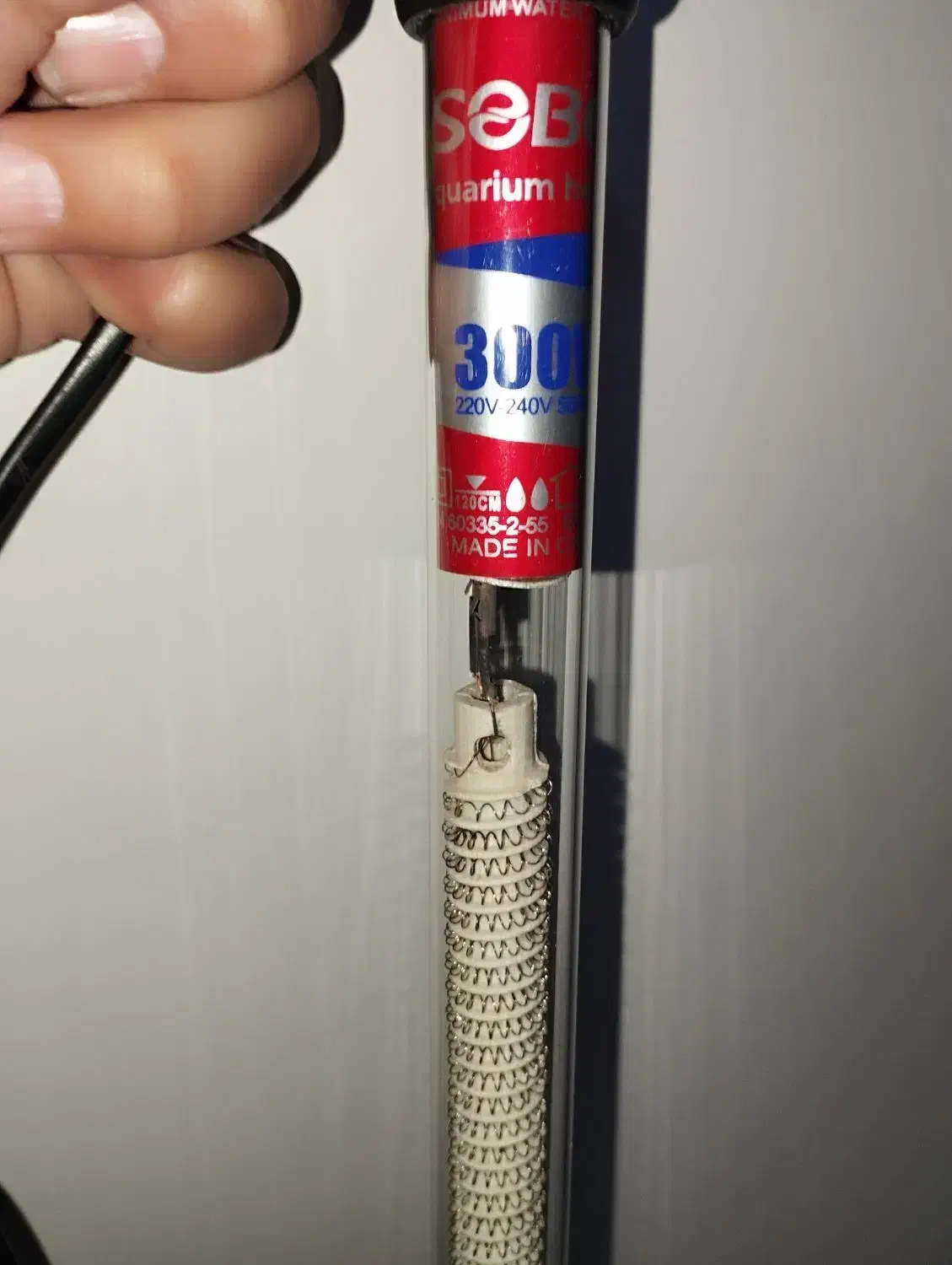 بخاری ماهی|ماهی|تربت‌حیدریه, بهزیستی|دیوار