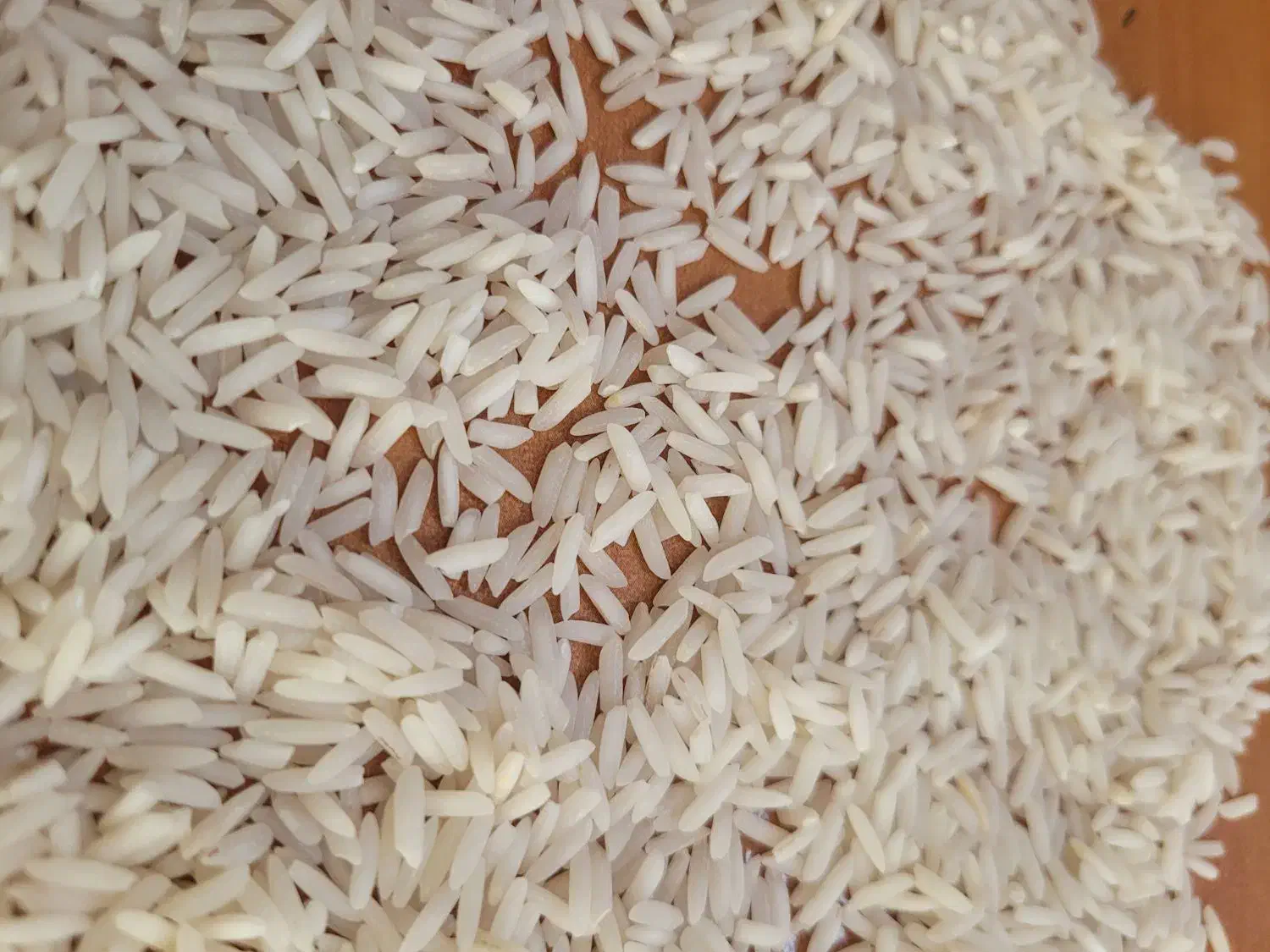 فروش برنج هاشمی|خوردنی و آشامیدنی|رشت, بوسار|دیوار