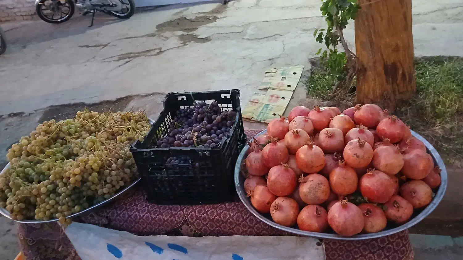 ارنار درجه یک|خوردنی و آشامیدنی|مشهد, امیرآباد|دیوار