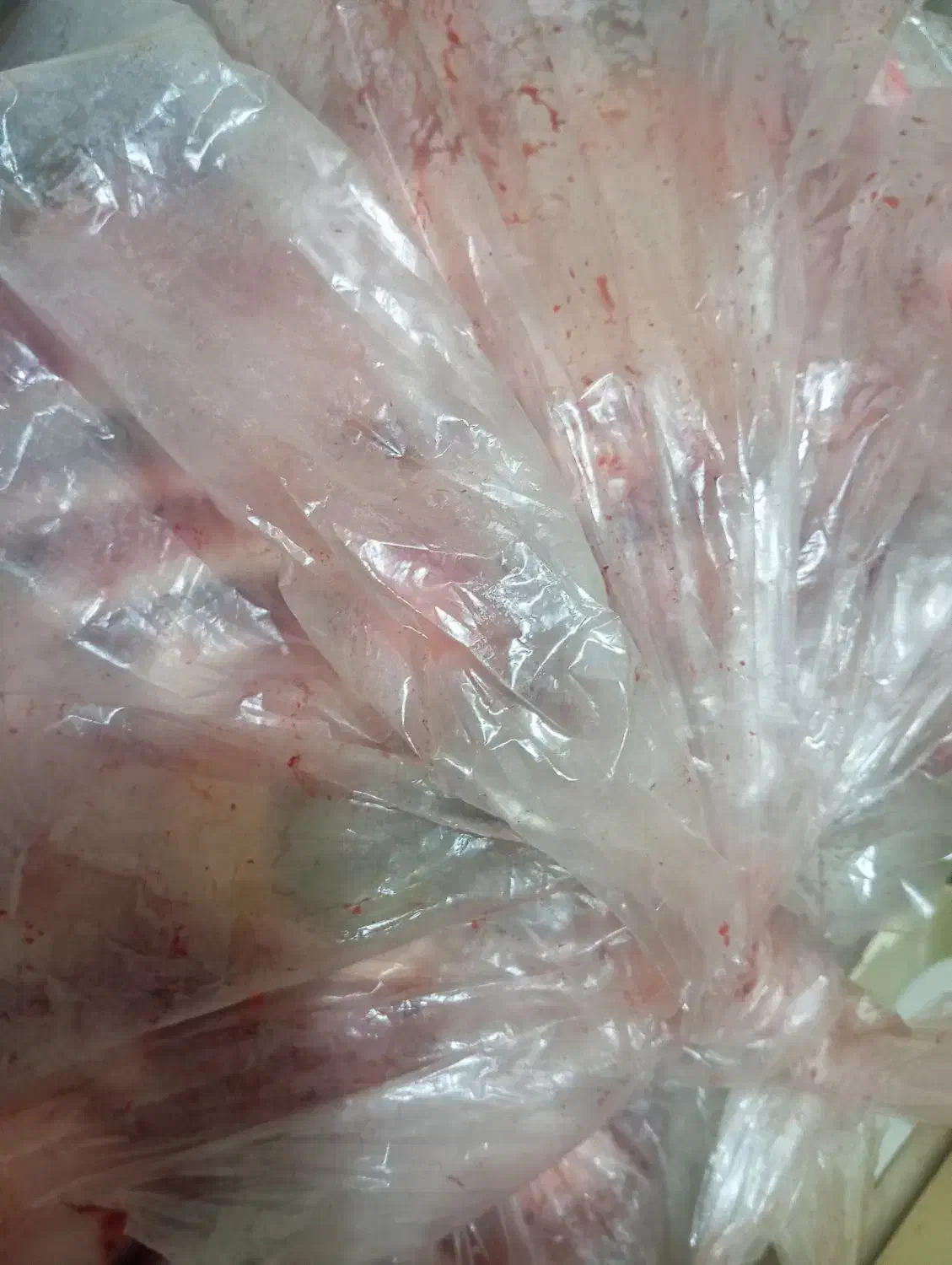 اشغال گوشت سگ و گربه|لوازم جانبی حیوانات|بیرجند, |دیوار