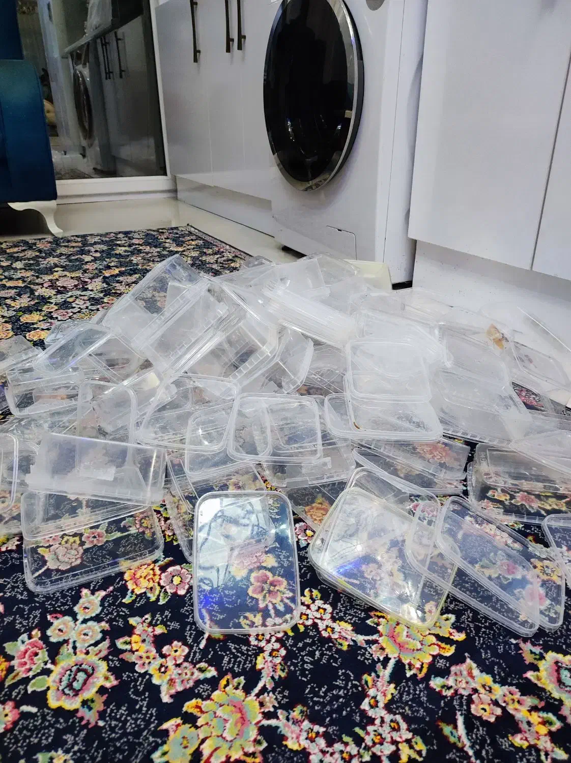 ظرف فریزری|ظروف نگهدارنده، پلاستیکی، یک‌بارمصرف|رودسر, |دیوار