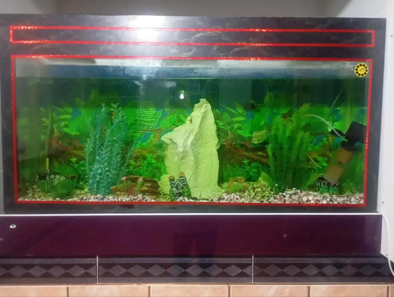 فروش آکواریوم|ماهی|گلپایگان, |دیوار