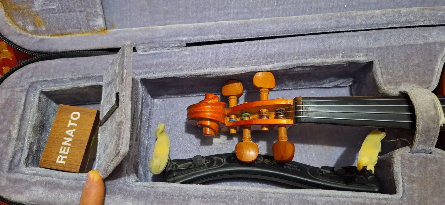 ویولن|ویولن|پاوه, |دیوار