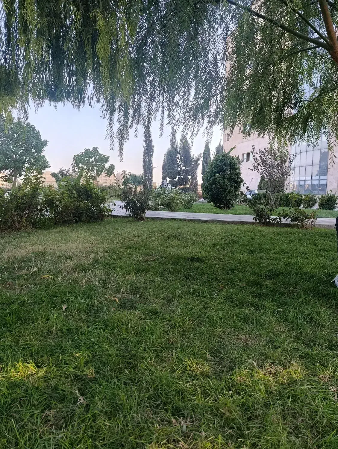 انگشتر گمشده درخیرآبادایثار۳|جواهرات|بهارستان, |دیوار