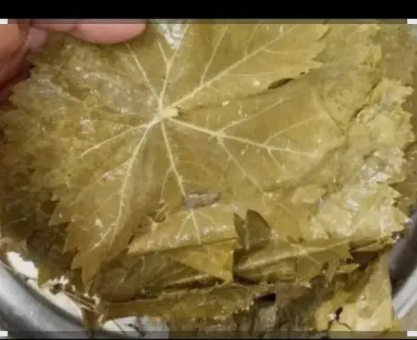 برگ دلمه|خوردنی و آشامیدنی|آشخانه, |دیوار