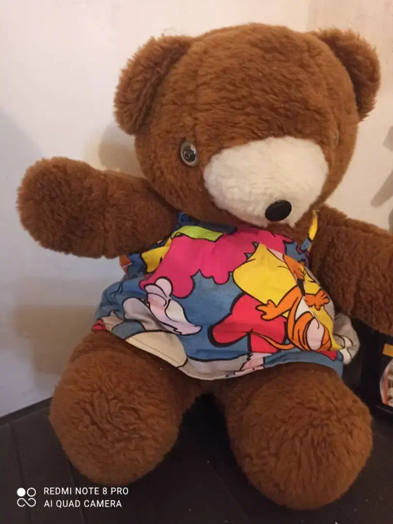 تدی به همراه سبد|اسباب‌بازی بچه|قزوین, |دیوار