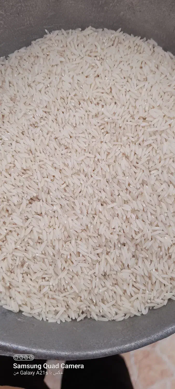 برنج راتون تمام اورگانیگ|خوردنی و آشامیدنی|لنگرود, |دیوار