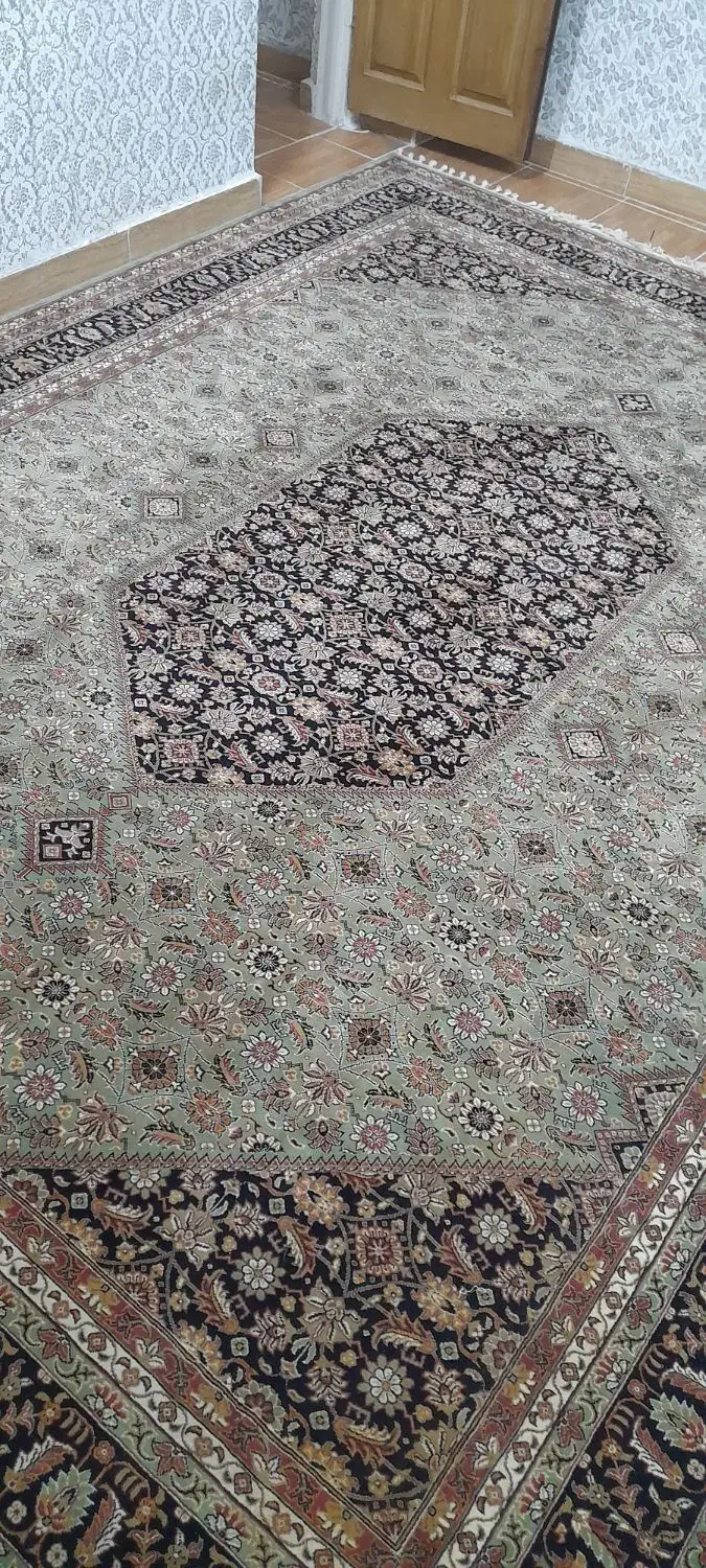 فرش ۱۲ متری سالم و تازه|فرش|رشت, تازه آباد|دیوار