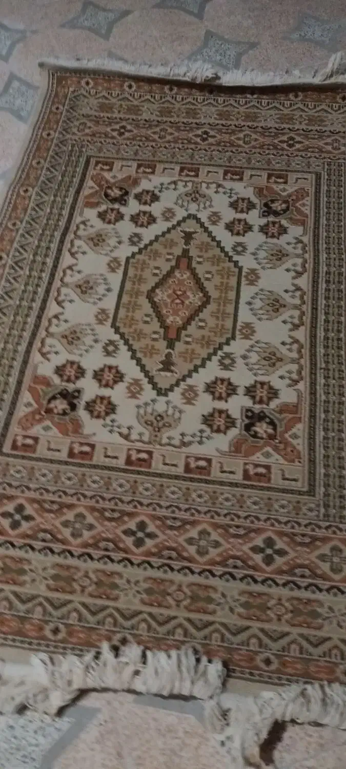 ۲ عدد فرش سالم سالم   و ۲و ۱نیم متری|فرش|اهواز, بهارستان|دیوار