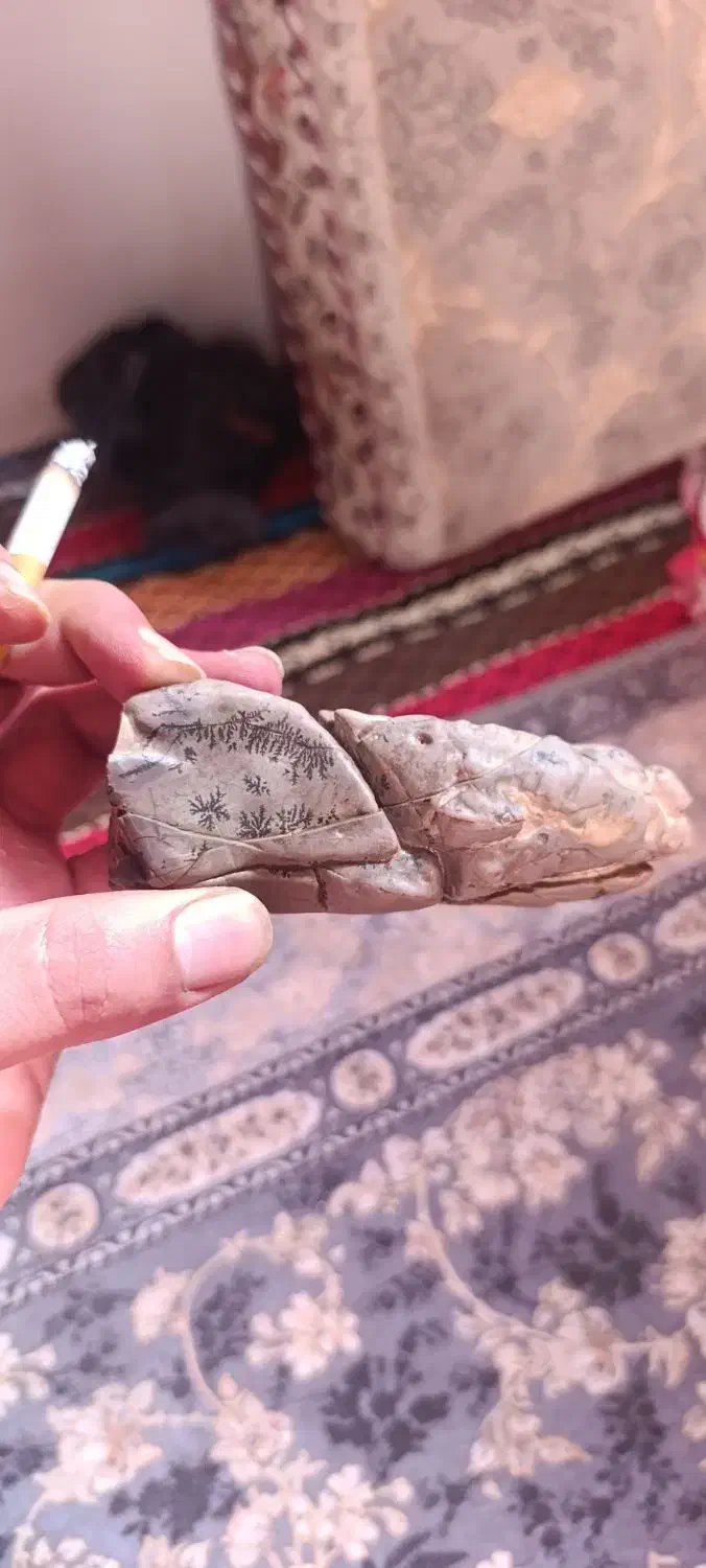 شجر|کلکسیون اشیاء عتیقه|زنجان, |دیوار