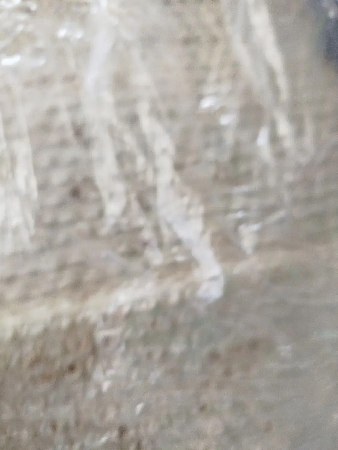 نان نذری|خوردنی و آشامیدنی|قم, شهرک سازمان آب|دیوار