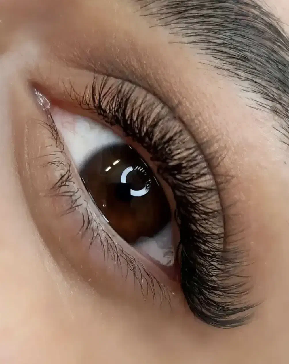 کاشت مژه طبیعی رایگان|خدمات آرایشگری و زیبایی|تبریز, |دیوار