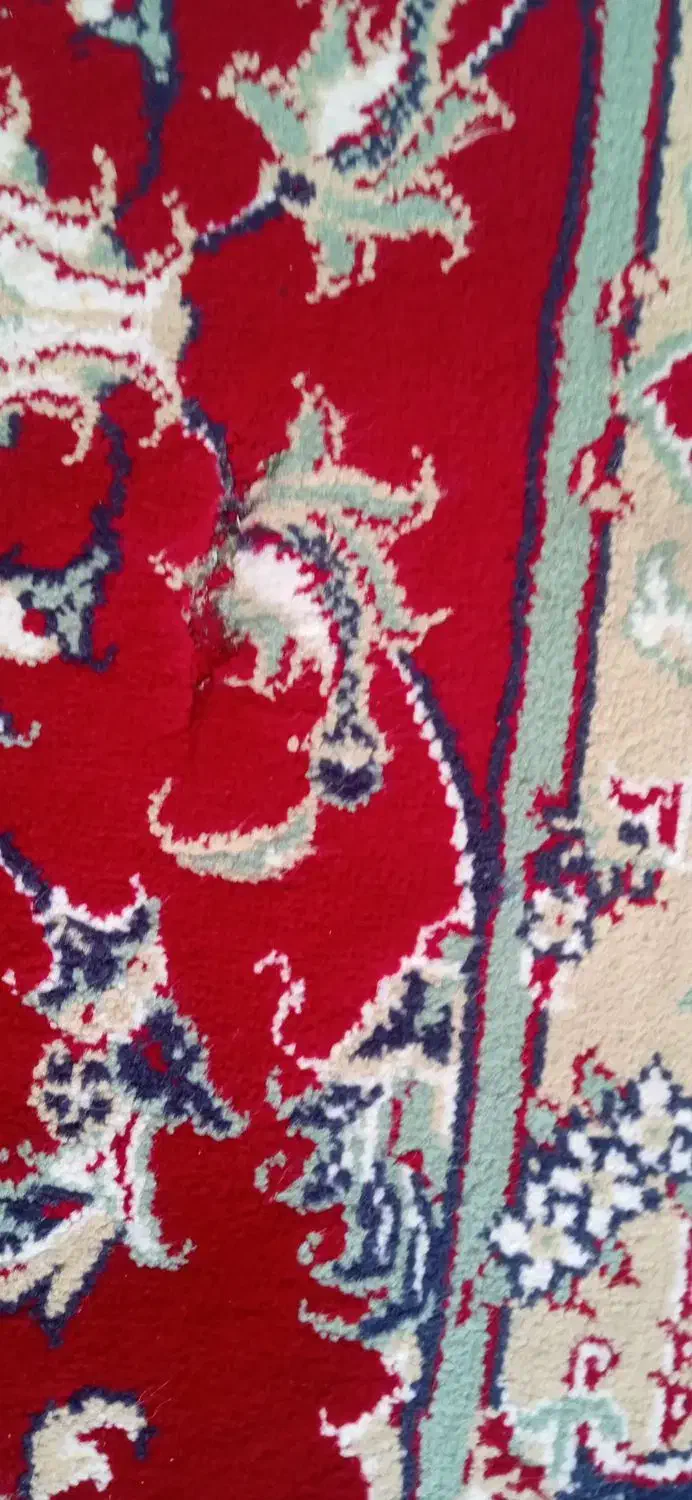 فرش|فرش|ارومیه, |دیوار