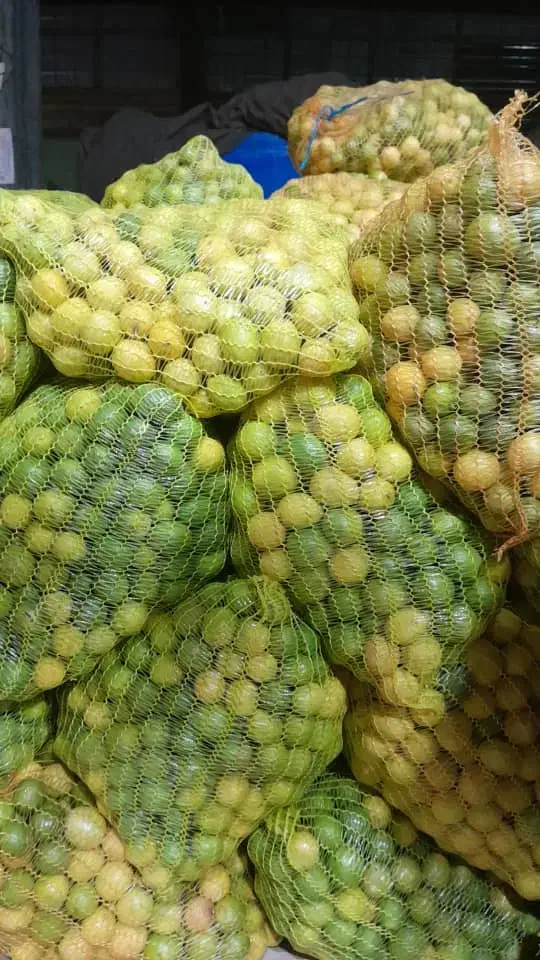 ترکیبات گیاهی ودارویی، رژیمی با طب اکبری|آرایشی، بهداشتی، درمانی|کرمانشاه, |دیوار