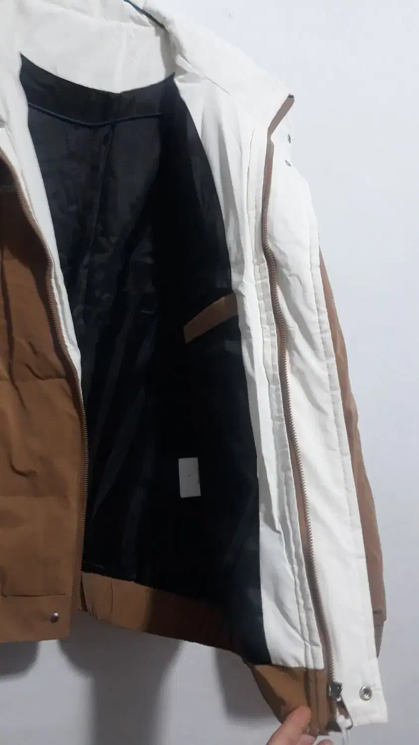 کاپشن|لباس|قم, شهرک امام حسن|دیوار