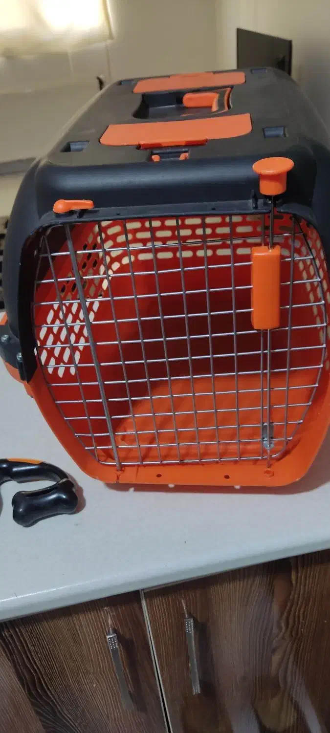 باکس سگ و قلاده ست|لوازم جانبی حیوانات|هشتگرد, شهرک ارم شرقی|دیوار