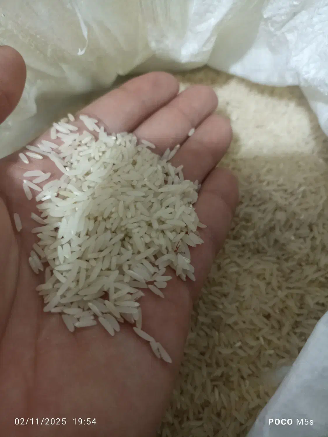 برنج طارم هاشمی|خوردنی و آشامیدنی|کردکوی, |دیوار