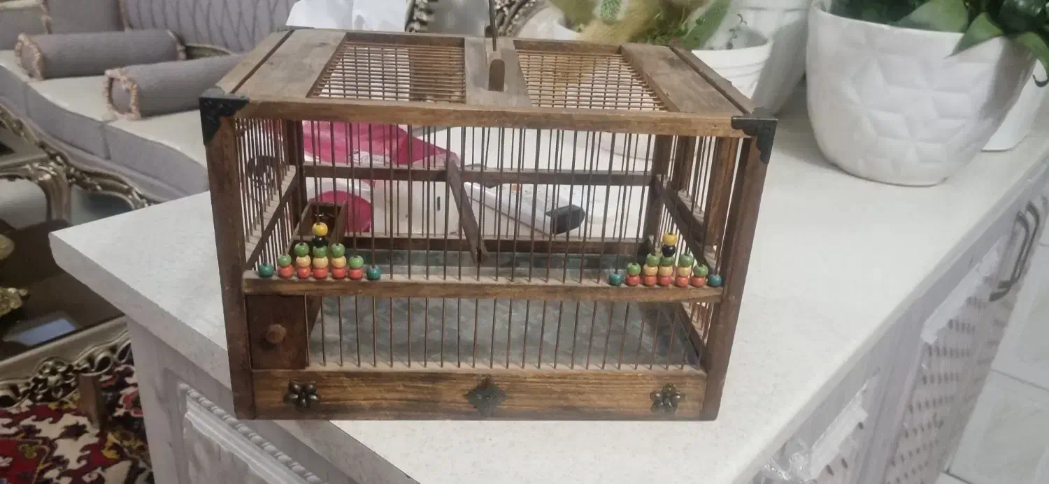 قفس سیحره چوبی نو|لوازم جانبی حیوانات|تبریز, |دیوار