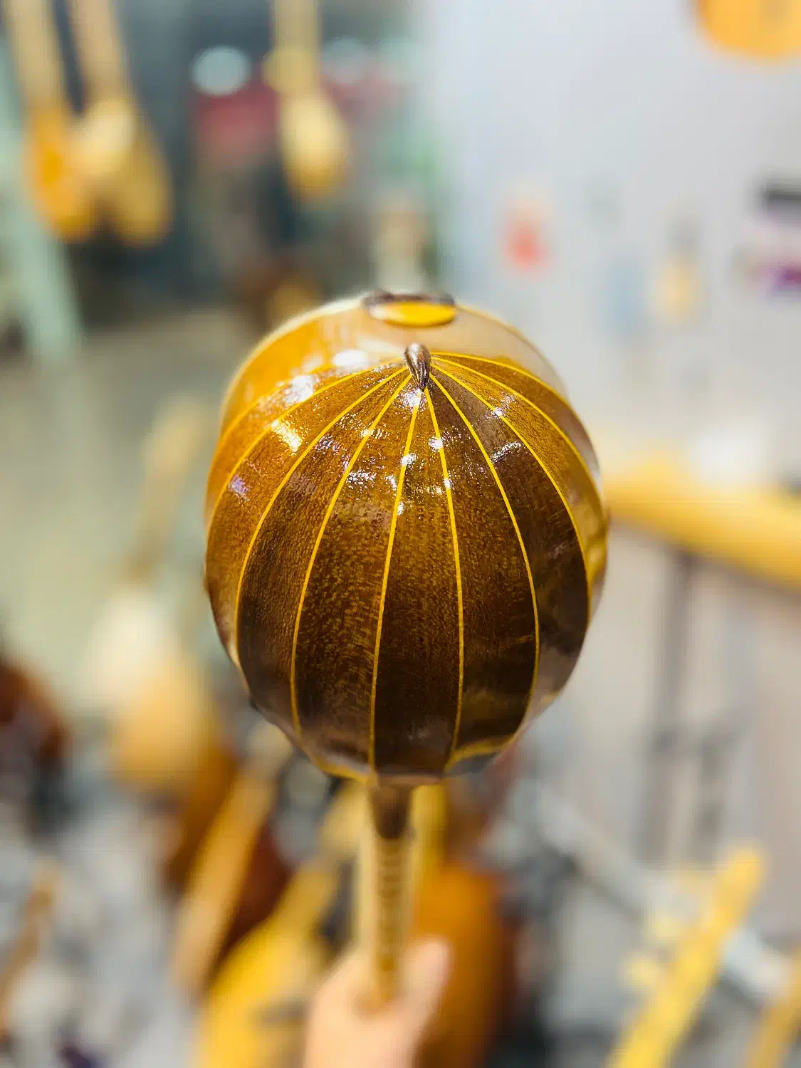 سه تار حرفه ای|سازهای سنتی|شیراز, شهرک استقلال|دیوار