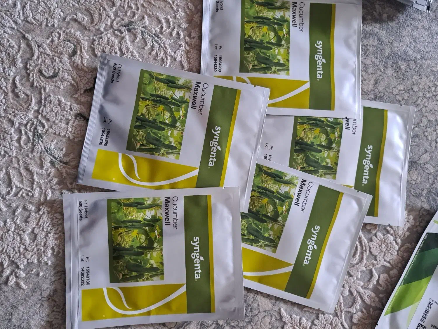 بذر خیار 547 و رویال فرانسه|خدمات باغبانی و درختکاری|عنبرآباد, |دیوار