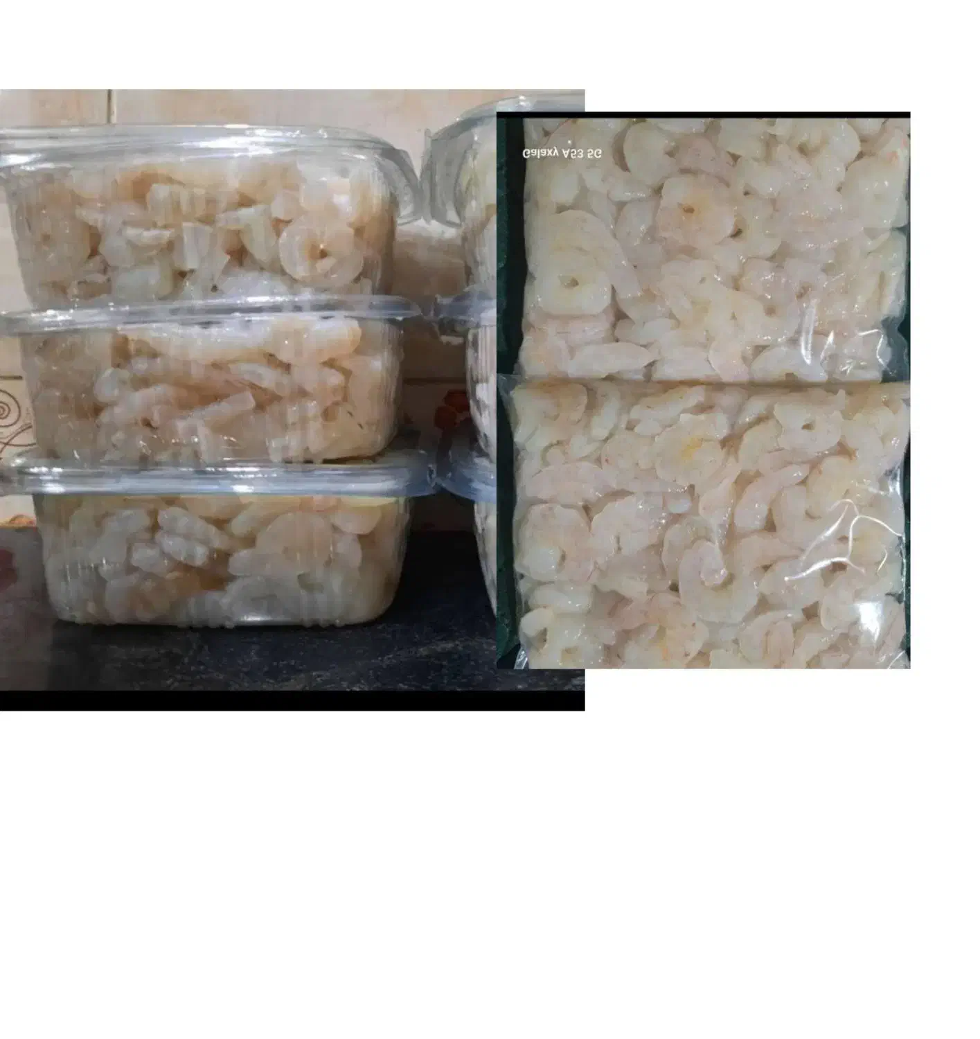 ماهی|خوردنی و آشامیدنی|داراب, |دیوار