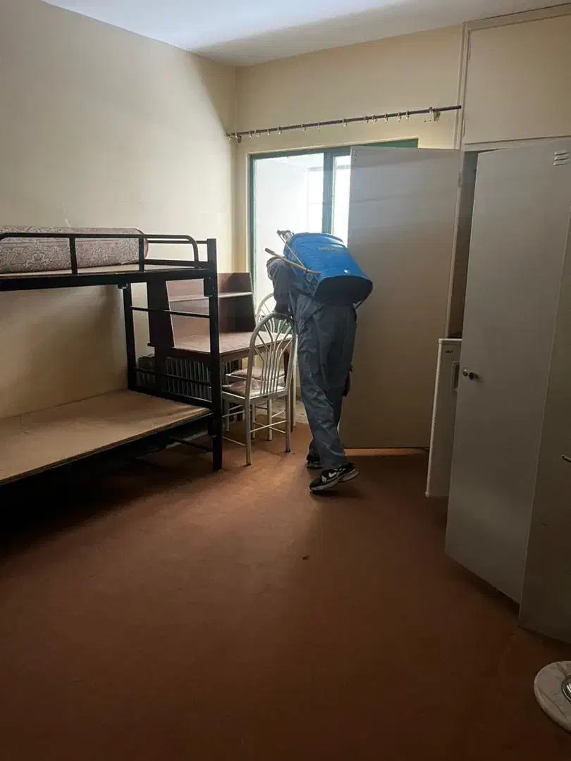 سمپاشی سوسک ساس و کنه وکلیه حشرات۱۰۰درصد تضمینی|خدمات نظافت|قزوین, |دیوار