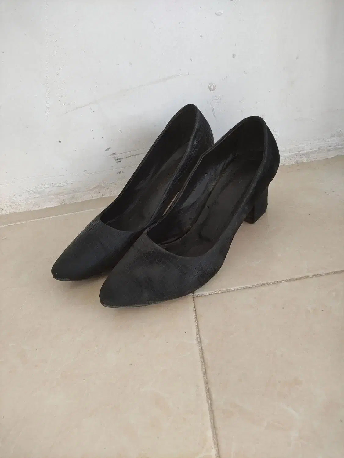 کفش مجلسی|کیف، کفش، کمربند|اسفراین, |دیوار