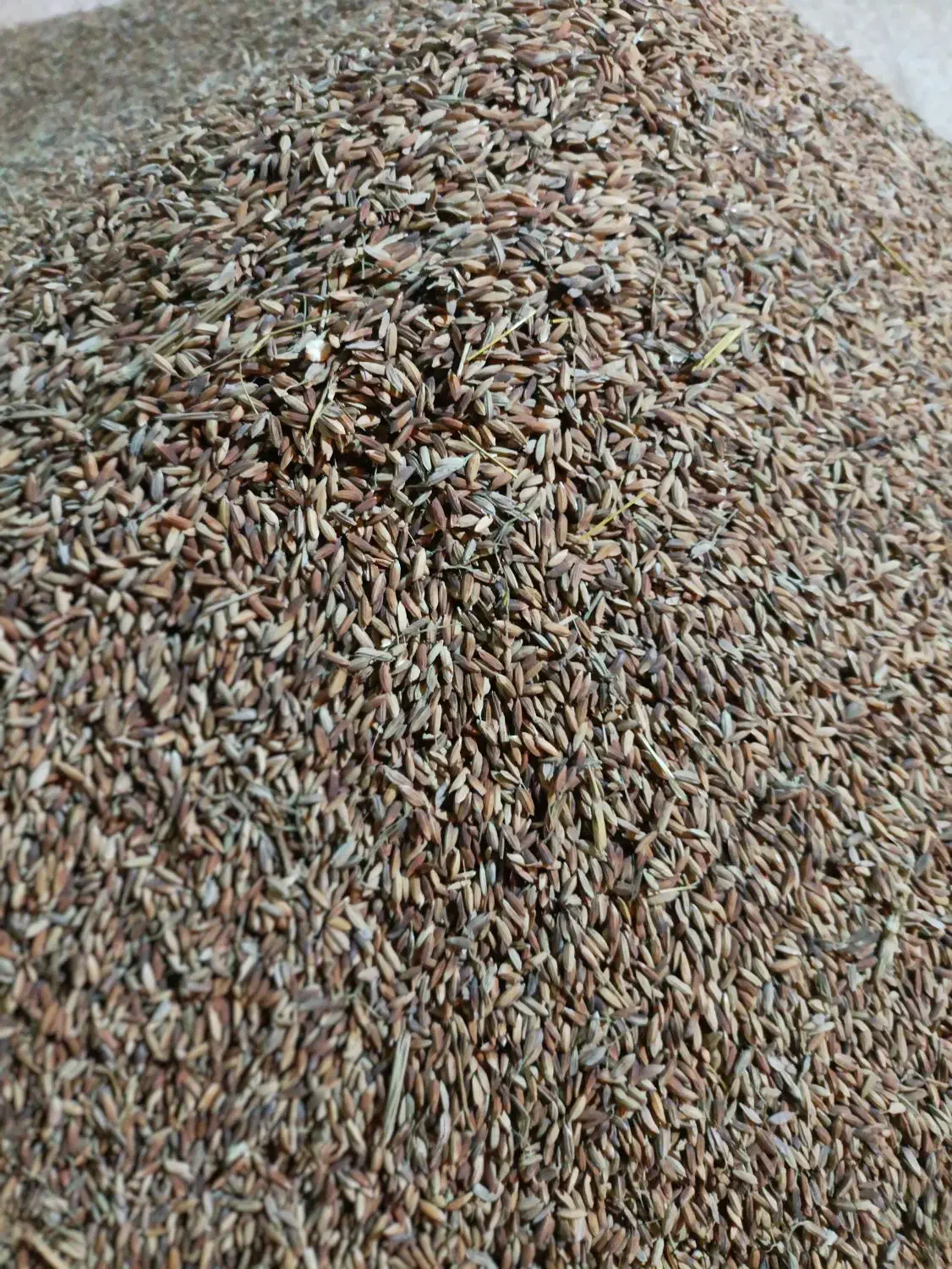 برنج عبنربو علأ درجه یک عقیلی|خوردنی و آشامیدنی|گتوند, |دیوار