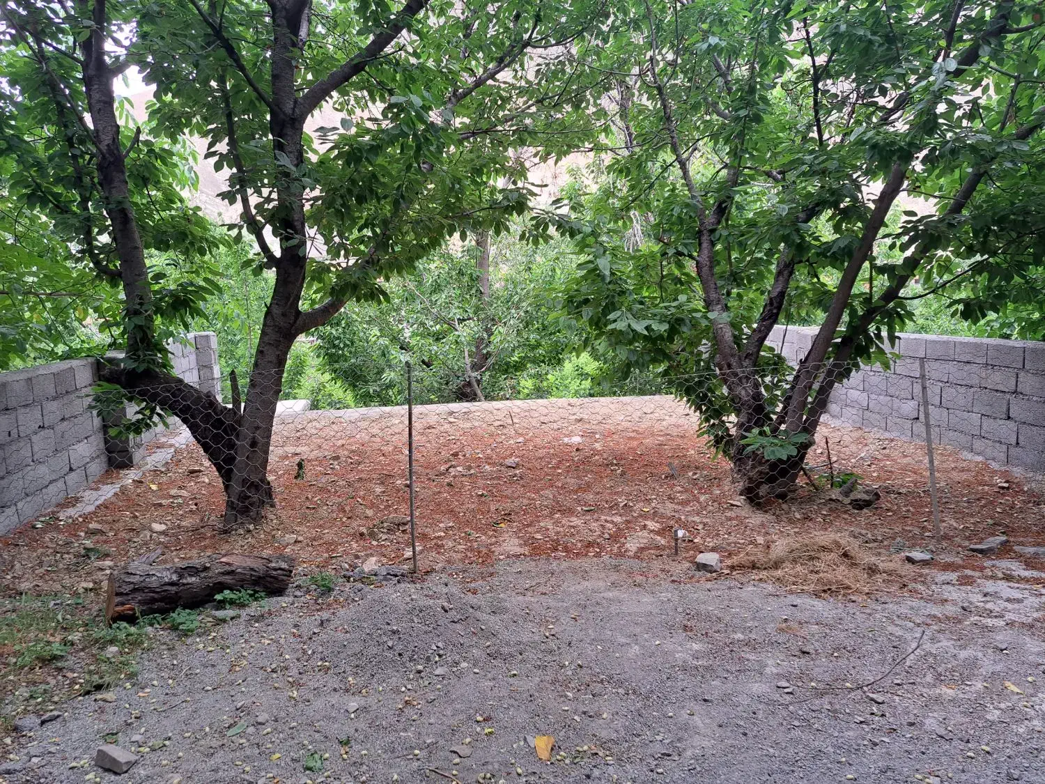 ۲۵۰متر باغچه سولقان|فروش زمین و ملک کلنگی|تهران, شهران جنوبی|دیوار