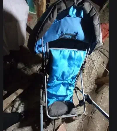 کالسکه نوزاد|کالسکه و لوازم جانبی|سیاهکل, |دیوار