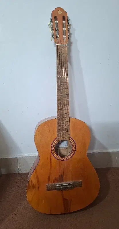 گیتار در حد نو|گیتار، بیس، امپلیفایر|اصفهان, بهارستان|دیوار