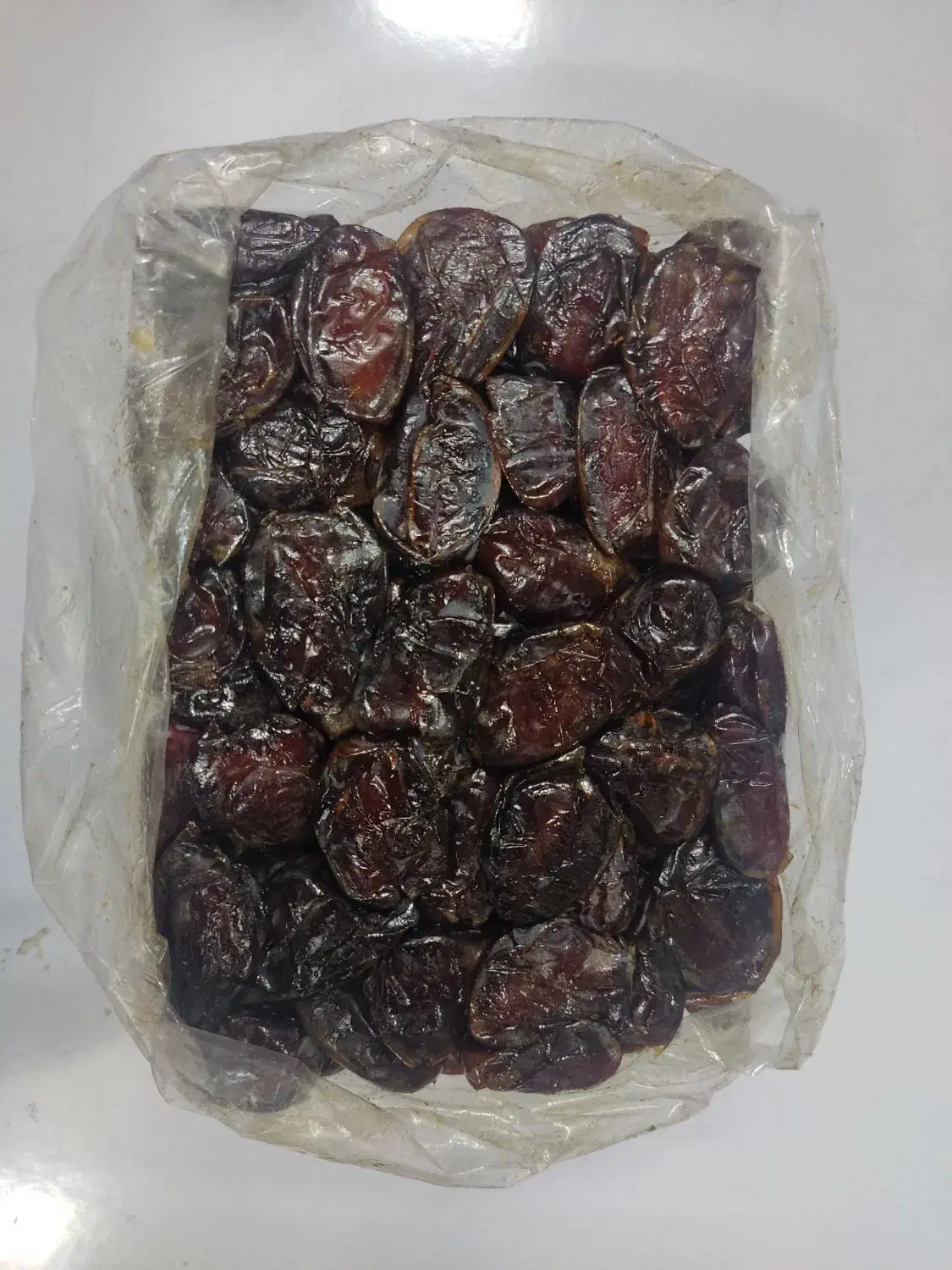 خرمای کبکاب بوشهر|خوردنی و آشامیدنی|قم, هنرستان|دیوار