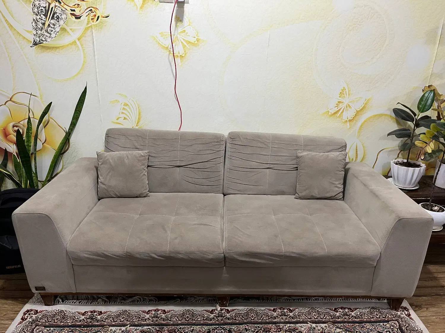 مبل|مبلمان خانگی و میز عسلی|رشت, کوی فکوری|دیوار