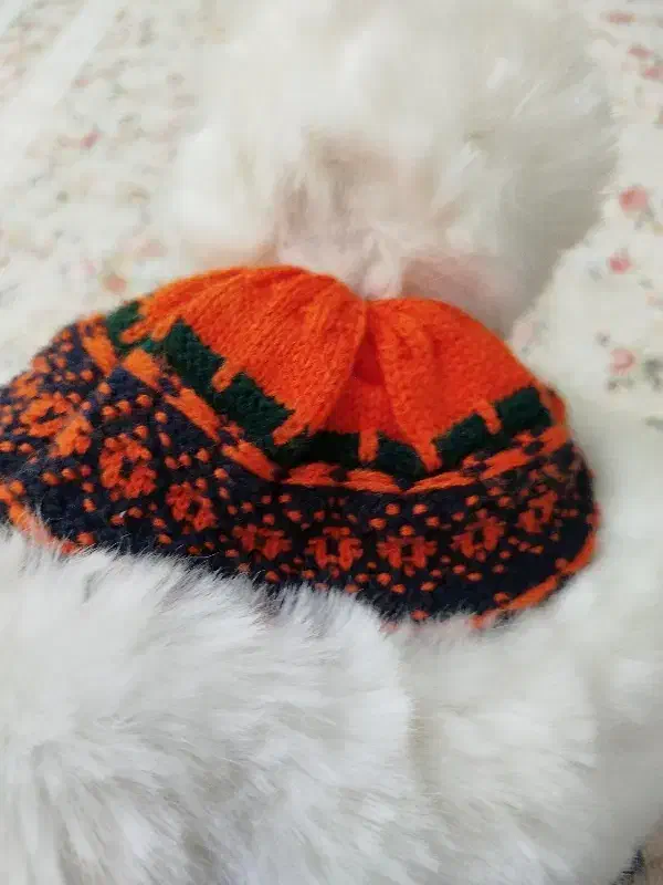 کلاه زمستونی|لباس|تهران, هفده شهریور|دیوار