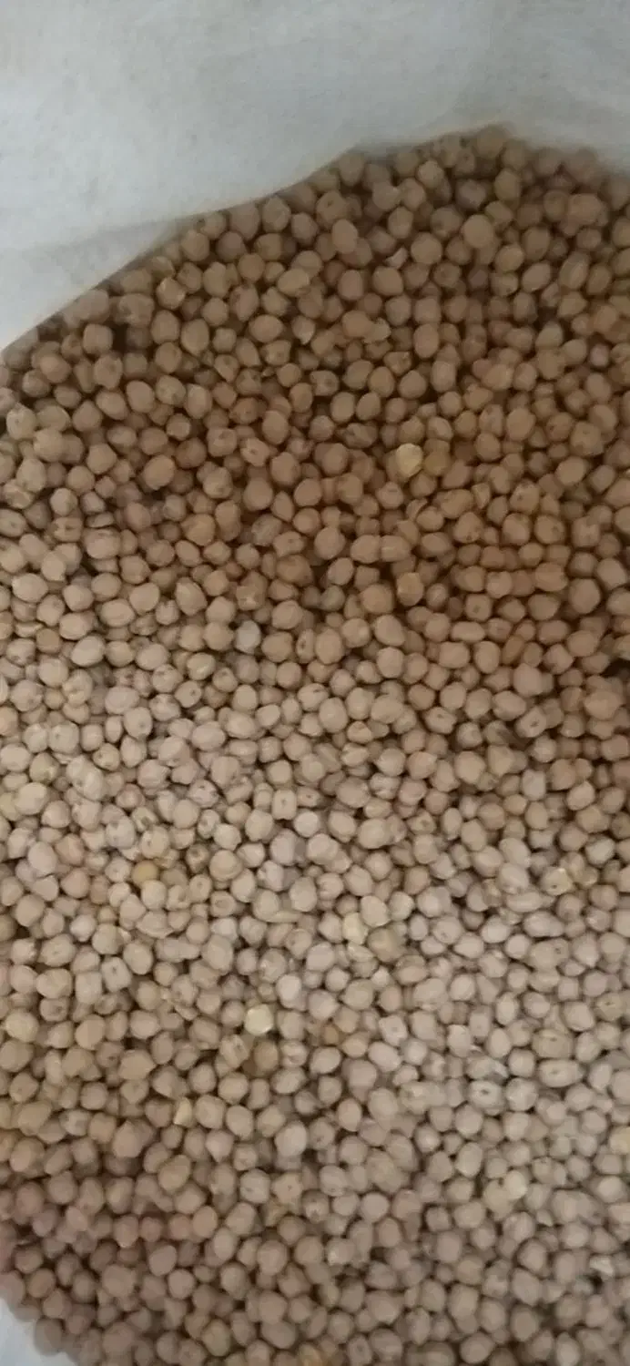 نخودپاییزه گوسکو|خوردنی و آشامیدنی|کلاشی, |دیوار